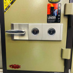 100 Kg Safe