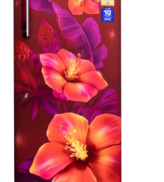 lloyd fridge 215ltr tropicana wine